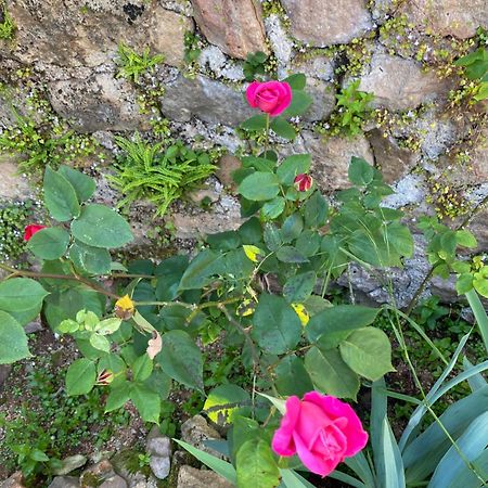 Ferme Fleurie Bed and Breakfast Bergesserin Buitenkant foto