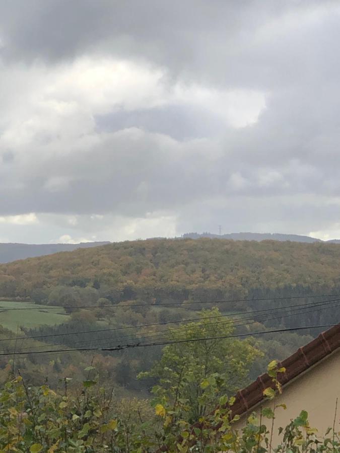 Ferme Fleurie Bed and Breakfast Bergesserin Buitenkant foto