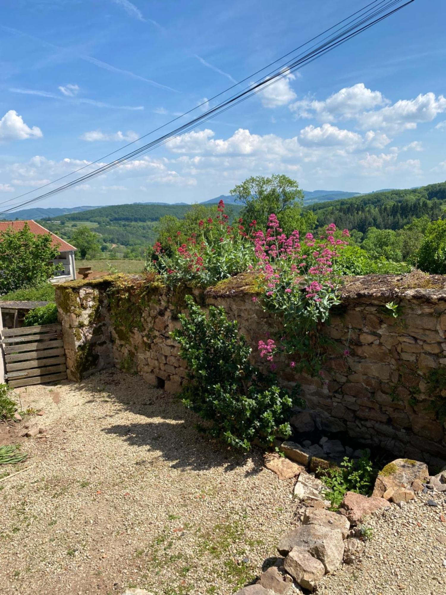 Ferme Fleurie Bed and Breakfast Bergesserin Buitenkant foto
