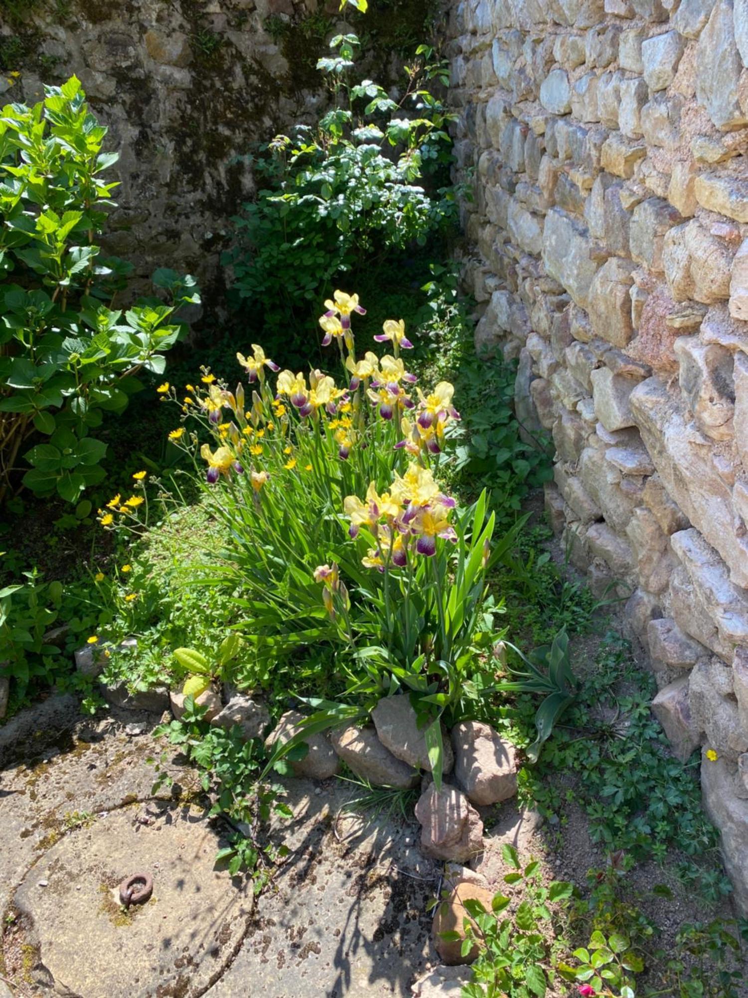 Ferme Fleurie Bed and Breakfast Bergesserin Buitenkant foto
